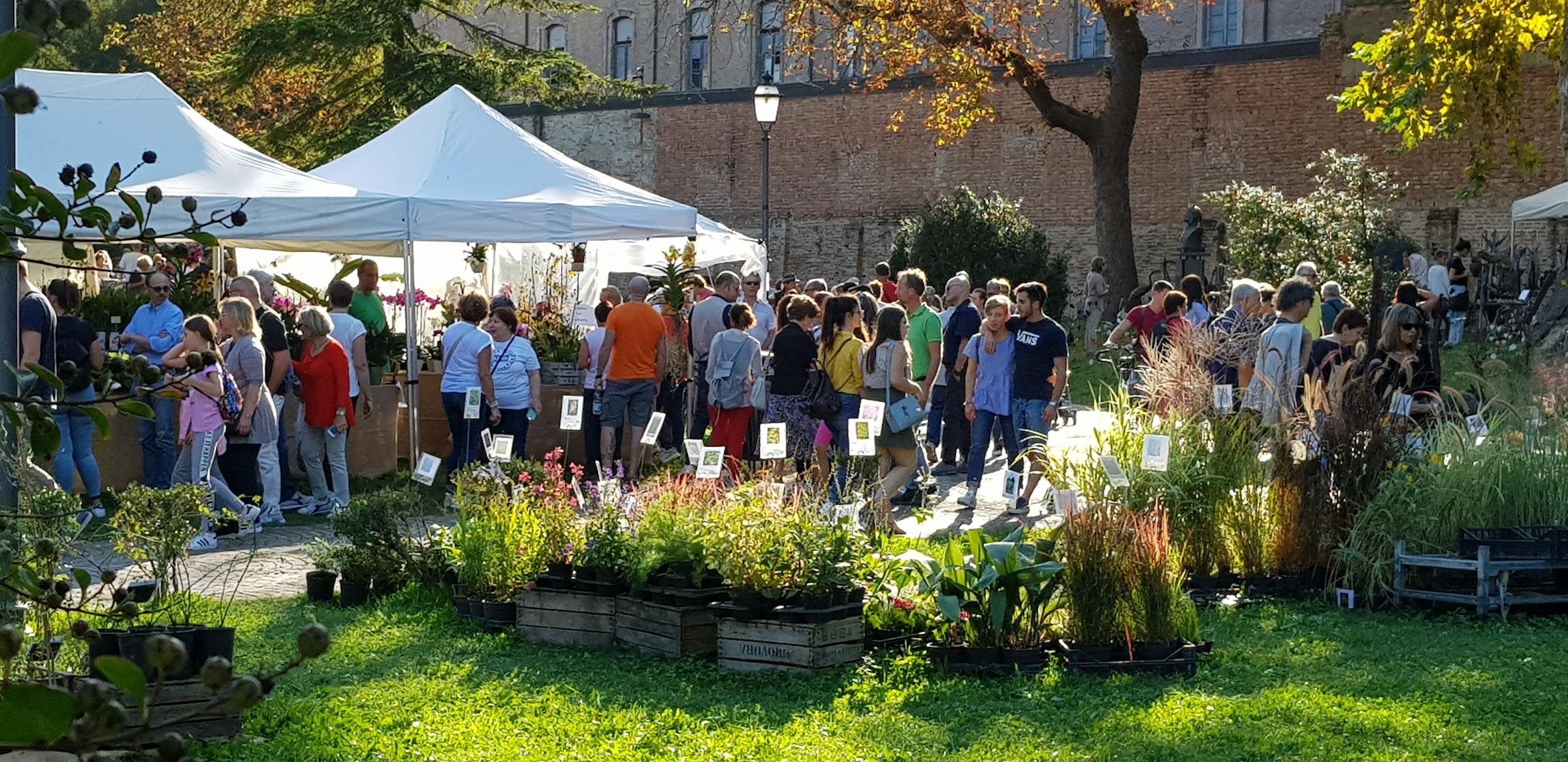"Giardini Estensi" torna a parco Massari in versione autunnale - Radio Bunker