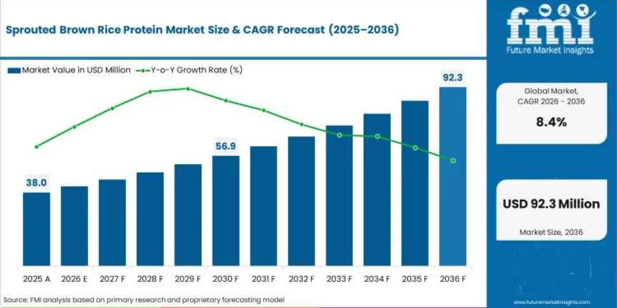 Sprouted Brown Rice Protein Market to Expand with Food & Beverage Innovation
