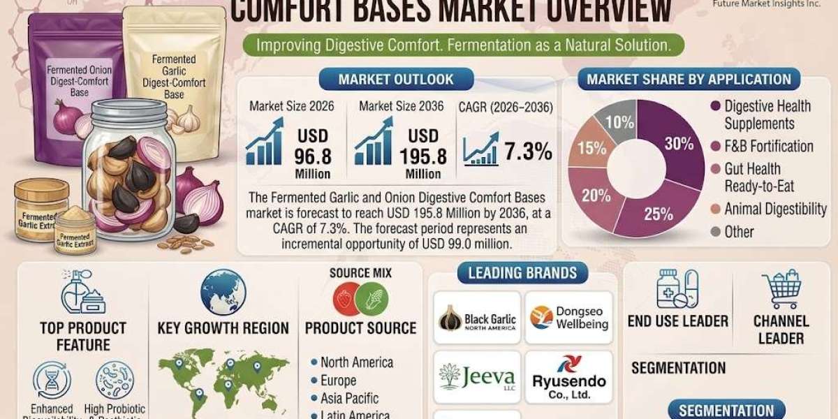 Fermented Garlic and Onion Digestive Comfort Bases Market Shaped by Clean Label Trends
