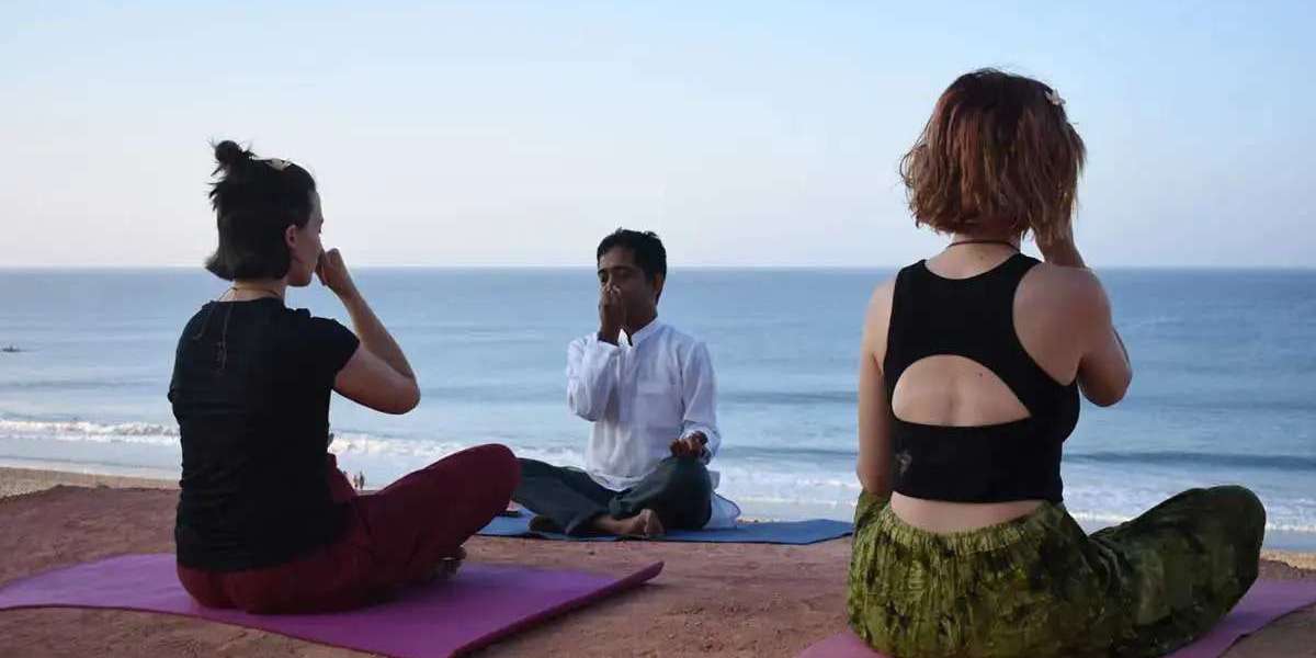 200 Hour Yoga Teacher Training in Varkala: Your Complete Guide